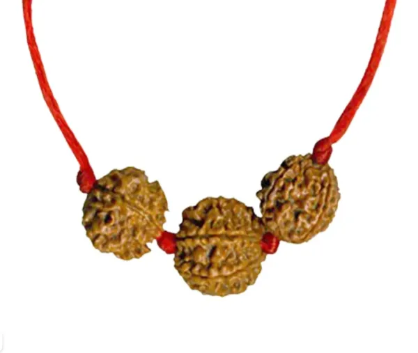 Swashthye Vridhi Mala Kavach 7 Mukhi And 2 Mukhi