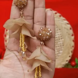 Shimmering Chunky Earrings