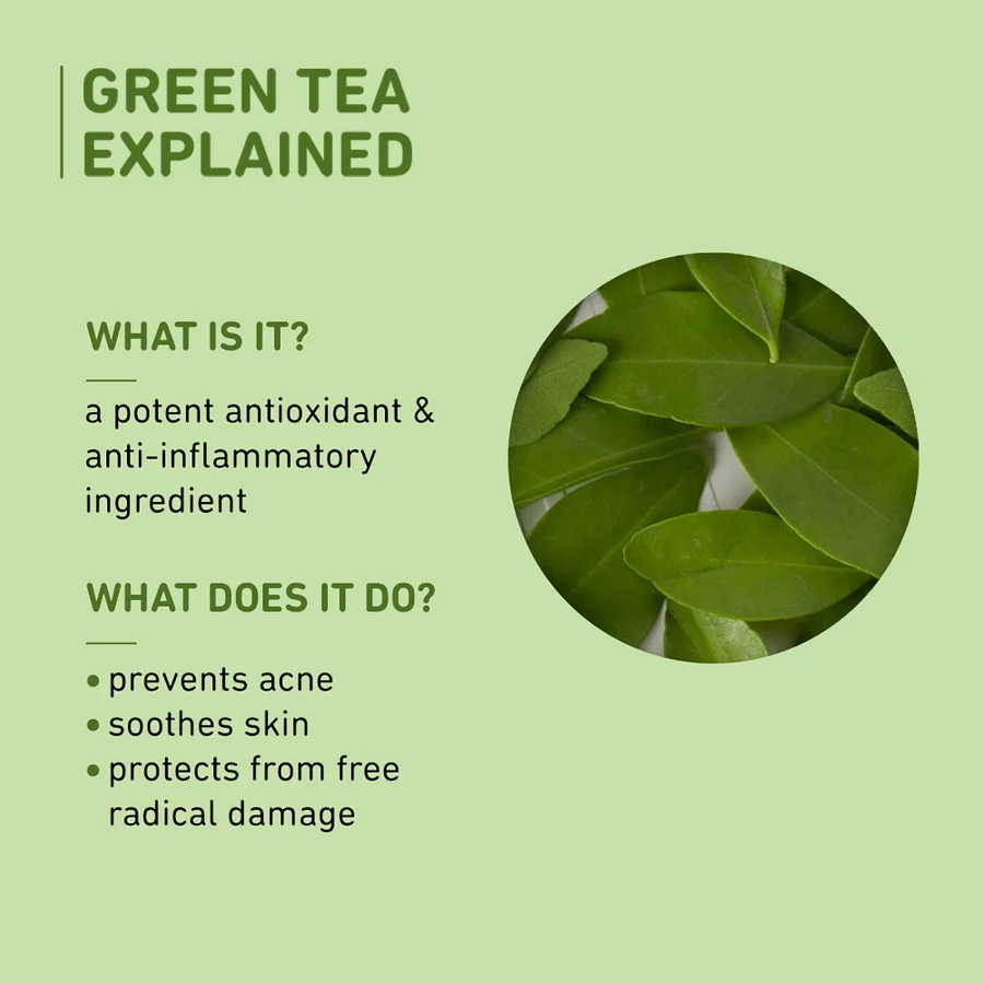 Plum Green Tea Oil-Free Moisturizer - Image 5