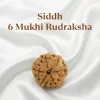 6 Mukhi Rudraksha