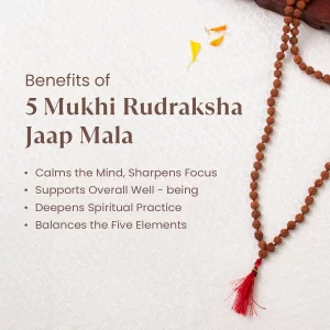 Original Nepali 5 Mukhi Rudraksha Dharan Mala | Certified & Energized for Daily Wear & Protection