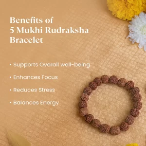 Nepali 5 Mukhi Rudraksha Bracelet | Certified & Energized for Peace & Health