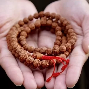 Original Nepali 5 Mukhi Rudraksha Dharan Mala | Certified & Energized for Daily Wear & Protection