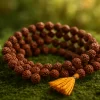 5 Mukhi Rudraksha
