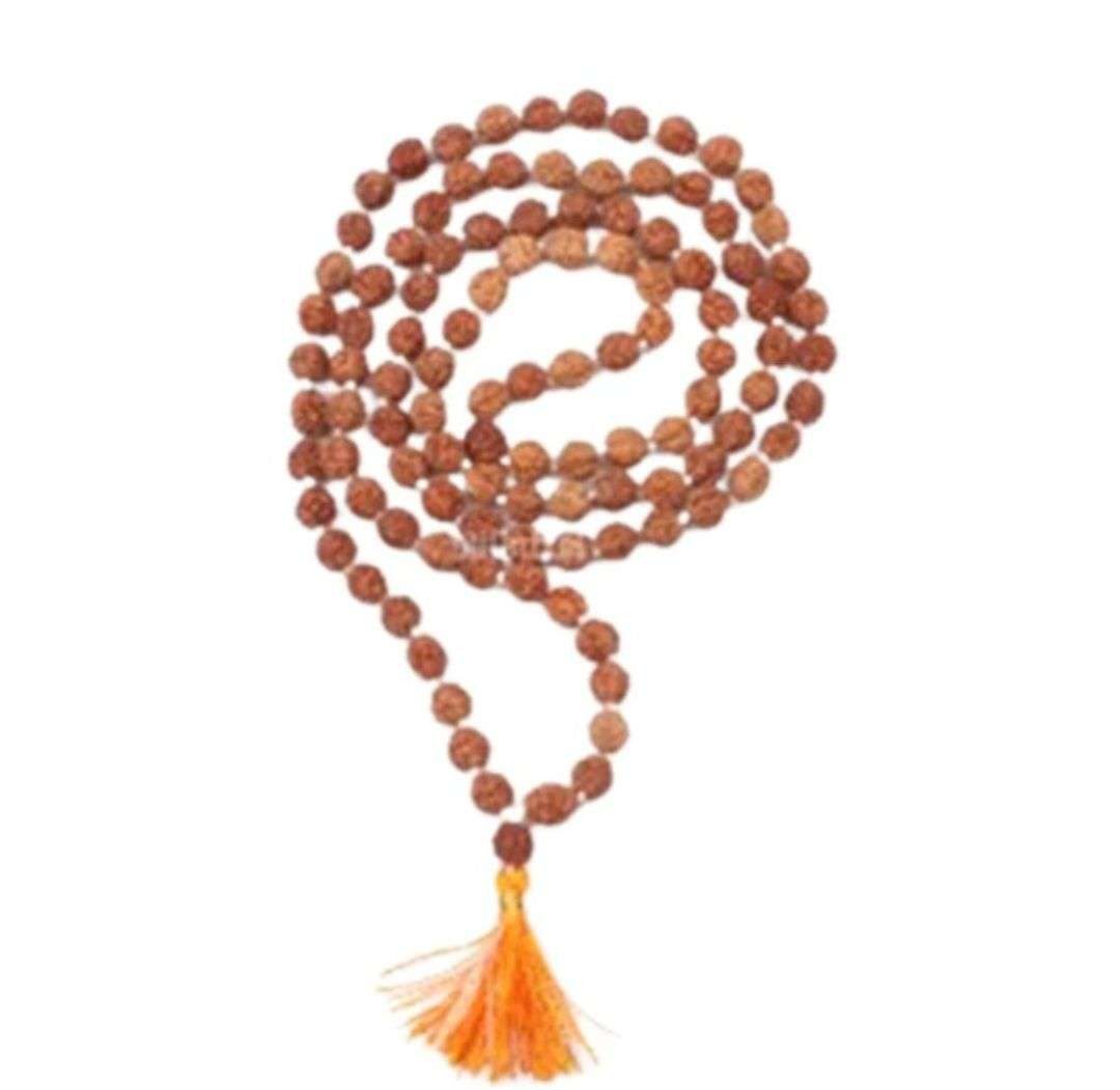 6 Mukhi Rudraksha Dharan Mala – Certified & Energized | Ideal for Confidence, Career & Inner Strength