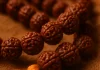 Rudraksha Mala