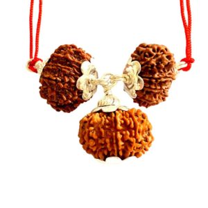 Evil Protection Rudraksha Kavach – 9, 10 & 11 Mukhi Rudraksha Combo | Certified & Energized | Protection from Negativity, Fear & Evil Energies