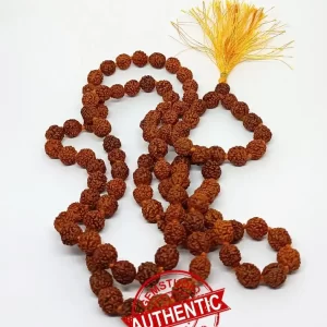 Original Nepali 5 Mukhi Rudraksha Dharan Mala | Certified & Energized for Daily Wear & Protection