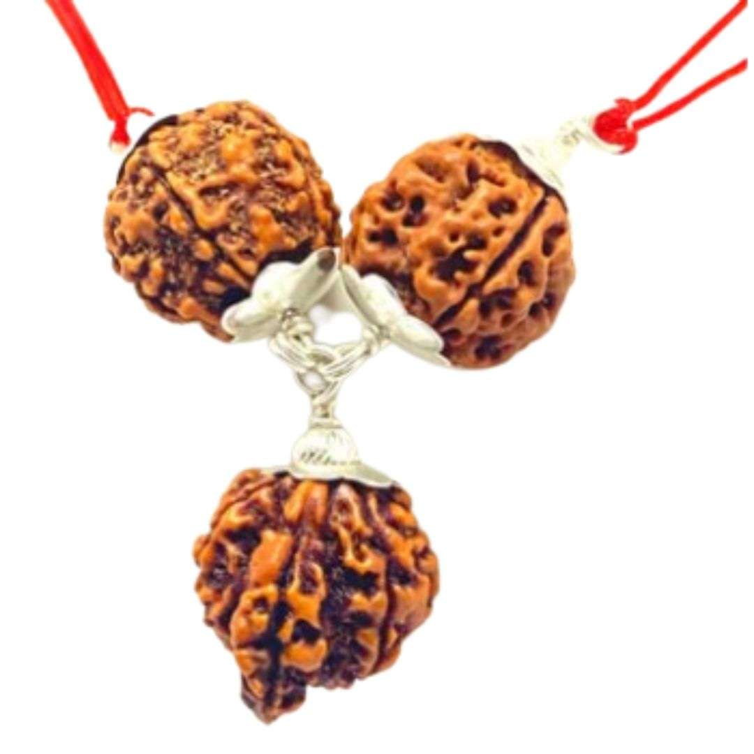 Saraswati Rudraksha Kavach – 4 Mukhi, 6 Mukhi & Ganesha Rudraksha Combo | Certified & Energized | For Knowledge, Creativity & Wisdom