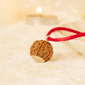 4 Mukhi Rudraksha