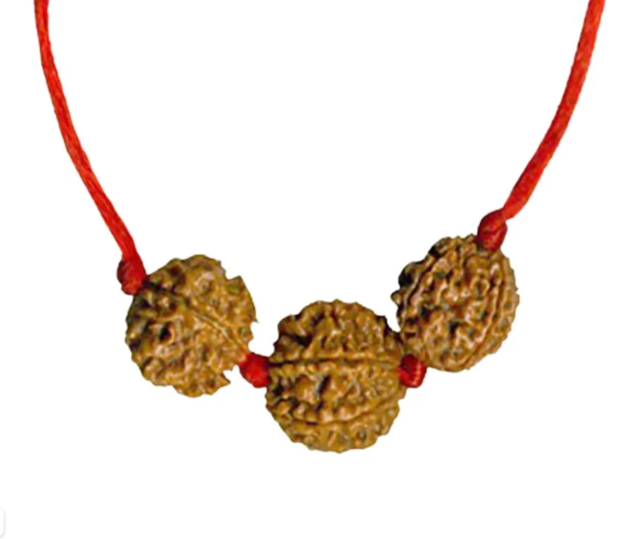 Swasthya Vridhi Rudraksha Kavach – 7 Mukhi & 2 Mukhi Combo | Certified & Energized | For Health, Vitality & Harmony