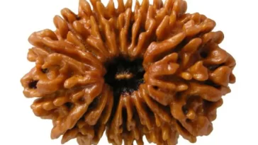 original nepali rudraksha kaise pehchane