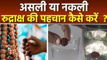 asli rudraksha ki pehchan kaise kare